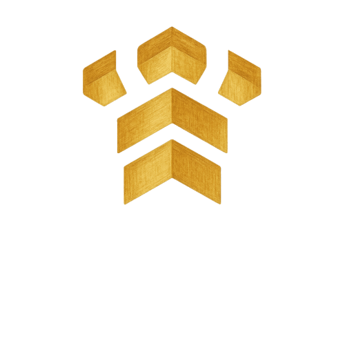 Castillo & Co. Jewelry